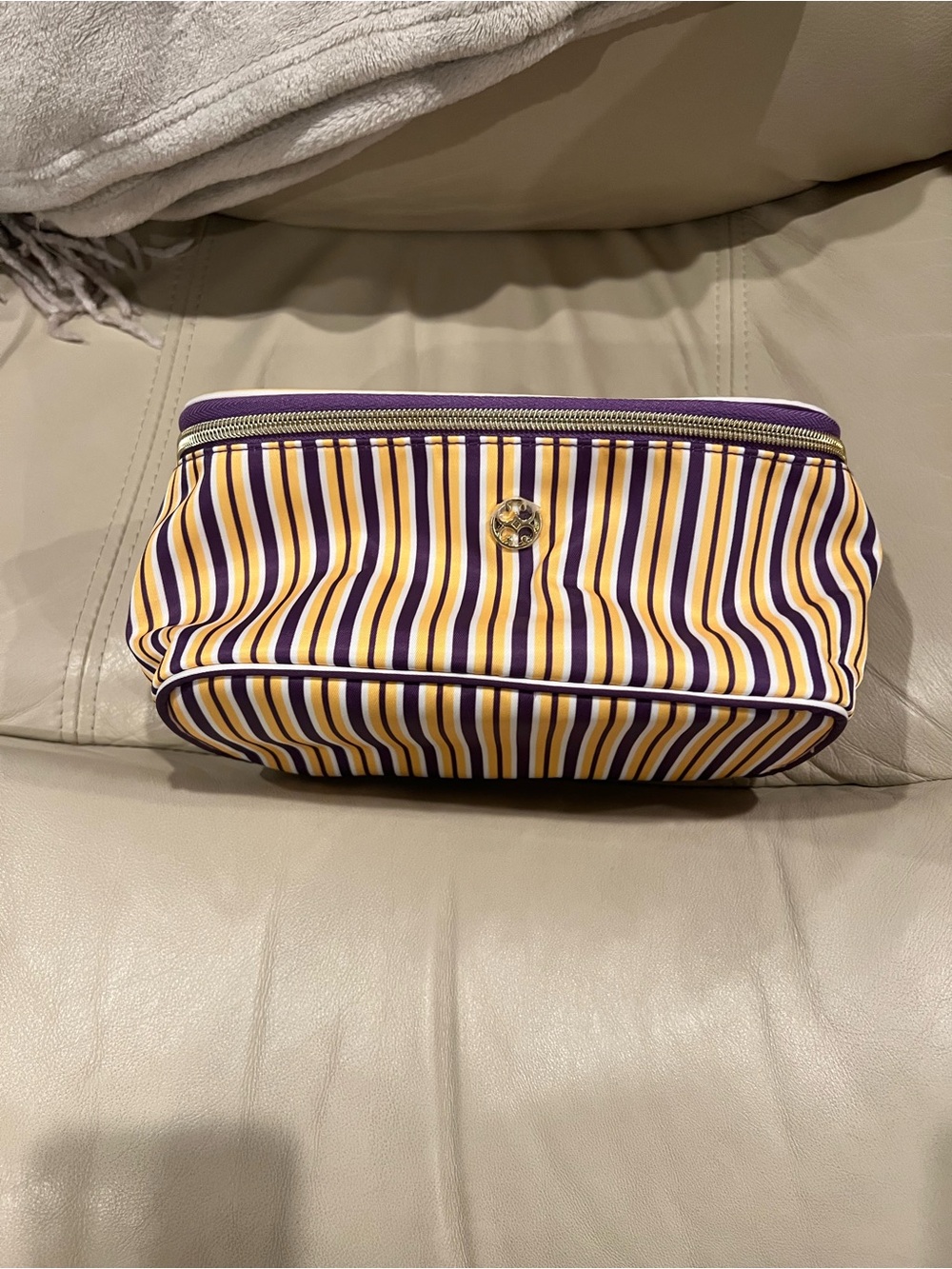 Striped Purple and Yellow Cosmetic Case by